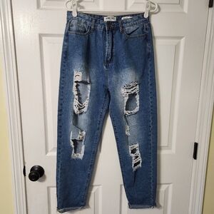 Skinny Fries Denim Mom Jeans, Distressed